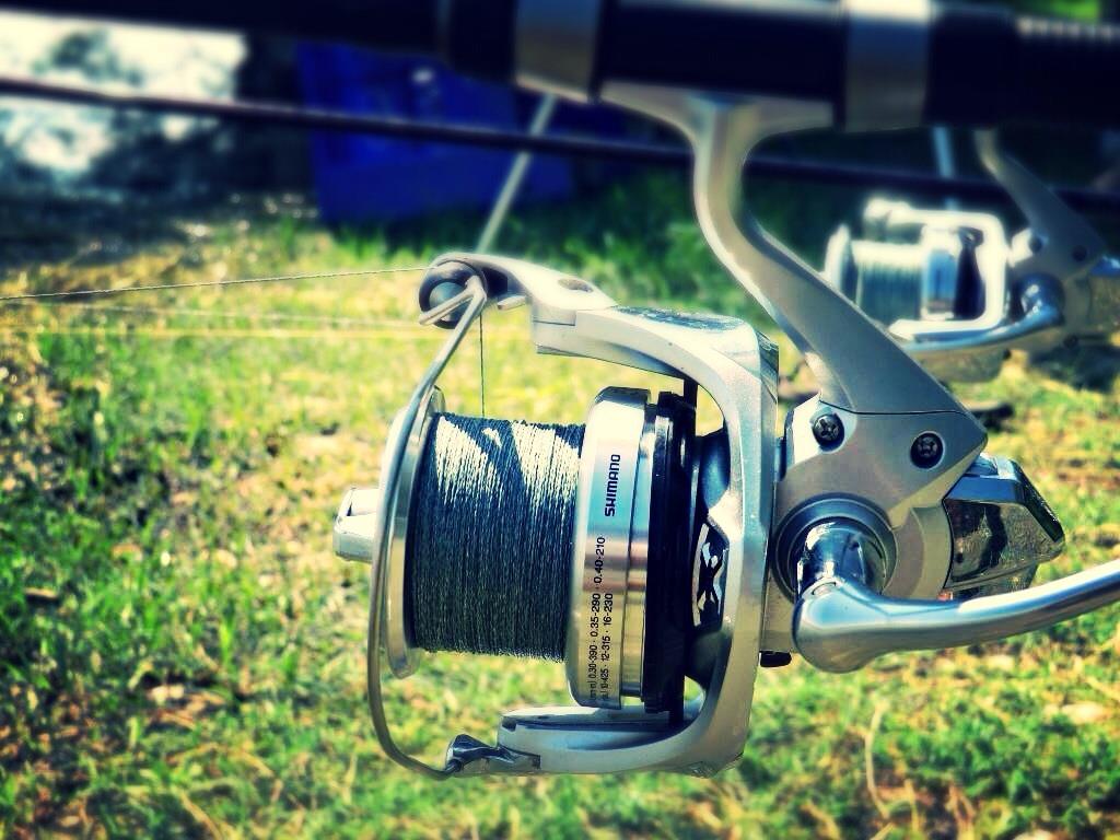 2013 - 2 - image11111111111111.jpg